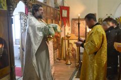 Божественная литургия в храме Рождества Пресвятой Богородицы