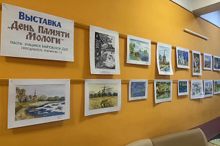 Епископ Рыбинский и Романово-Борисоглебский Вениамин посетил День памяти Мологского края и благотворительную акцию «Белый цветок» в Брейтове 23832