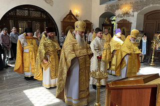 Архиерейское богослужение в Спасо-Преображенском храме деревни Городок 24008