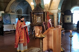 В честь 165-летия со дня рождения священномученика Димитрия Вознесенского 6907
