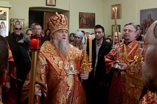 Епископ Вениамин совершил чин освящения иконы Божией Матери «Благодатное Небо» в Ваулово 11850