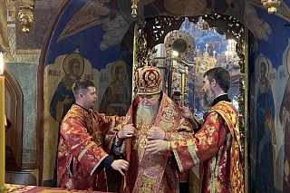 В десятое воскресенье по Пасхе епископ Вениамин возглавил Крестный ход с иконой Всемилостивого Спаса по Борисоглебской стороне 23996